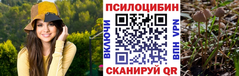 Галлюциногенные грибы Magic Shrooms  kraken зеркало  Гусиноозёрск 