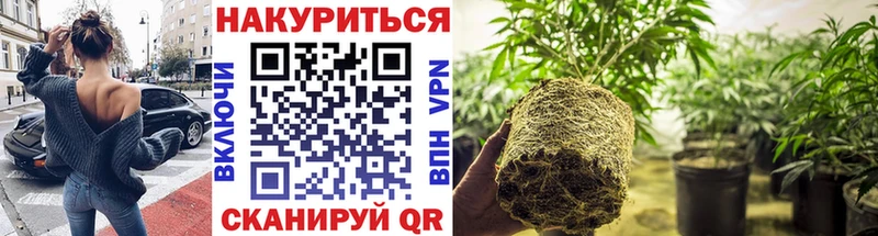 купить наркотики сайты  omg вход  Конопля THC 21%  Гусиноозёрск 